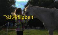 飞比特flipbelt跑步腰包男手机收纳袋水壶腰带女夏马拉松运动装备